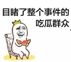 无名氏吃瓜群众,网络舆论场中的神秘力量