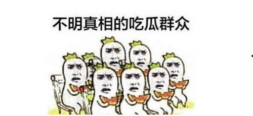 河源吃瓜群众群聊,揭秘本地热点事件背后的故事