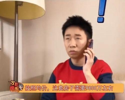 男明星综艺吃瓜,男明星吃瓜大揭秘，笑料百出引热议