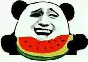 搞笑瓜哥和吃瓜群众,欢乐瓜界风云录