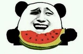 主演吃瓜,主演们的“吃瓜”瞬间