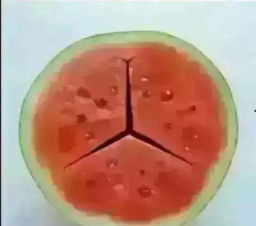 带你吃瓜讲解小鱼,揭秘小鱼背后的故事与魅力