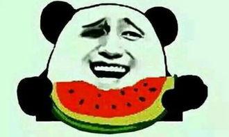 免费吃瓜的套路,揭秘娱乐圈幕后故事，带你领略明星真实生活